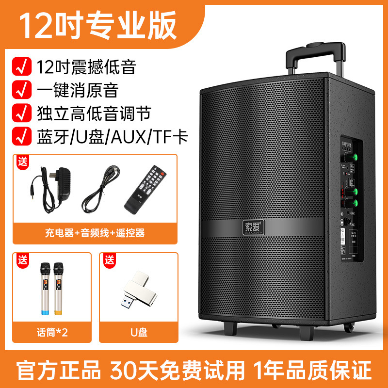 Soei F36 Square Dance Audio Show Outdoor K Dance 15 pulgadas barra móvil altavoz Bluetooth con micrófono