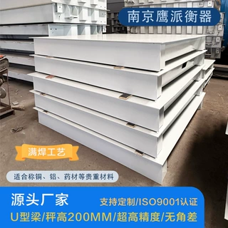 源头工厂定制加厚高精度电子平台秤1-5吨地磅秤称铜铝药材高稳定