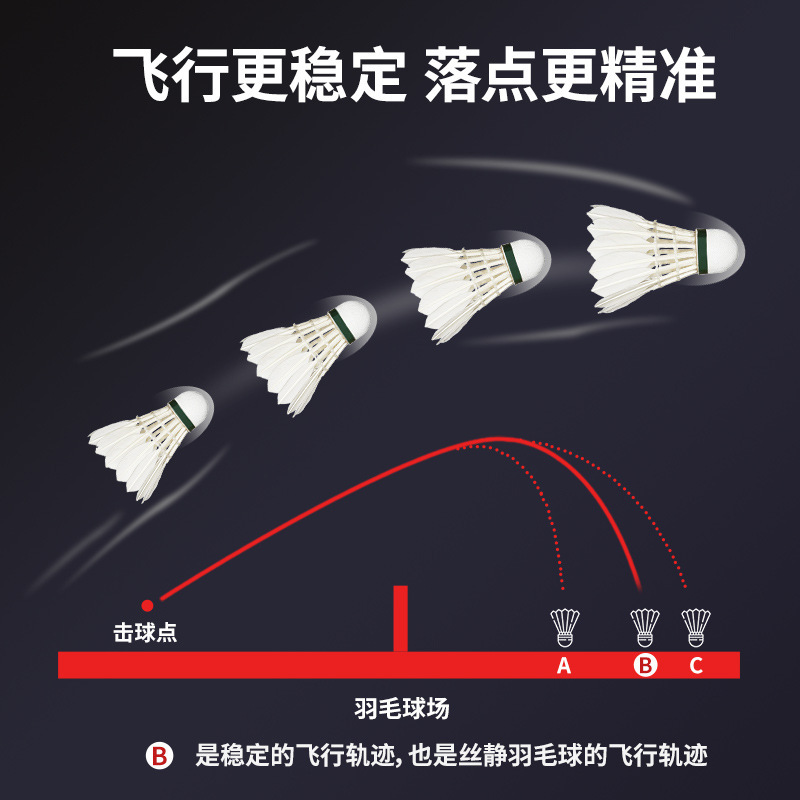 Badminton Durable King 12-Pack Genuine Not Easy to Break Outdoor Goose Feather Competition Professional Windproof Training Durable Ball