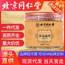 北京同仁堂罗布麻 新疆罗布麻罗布麻叶罐装一件代发新疆罗布麻