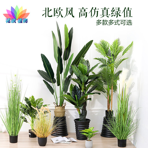 Fake tree, money tree, simulated plant, large floor-standing potted tree, plastic fake flower, living room indoor flower decoration, fake green plant