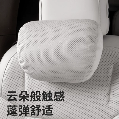 Bmw, Tesla | Headrest