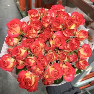 Orange Barbie Multi-Headed Rose Flower Bouquet Yunnan Kunming Base Straight Hair Intra-City Express Perfume Lily Flower Arrangement
