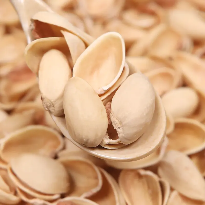 Original Color Pistachio Shell Unbleached Kindergarten Handmade Raw Material Nut Shell Crafts Decorative Painting Production Dried Flowers