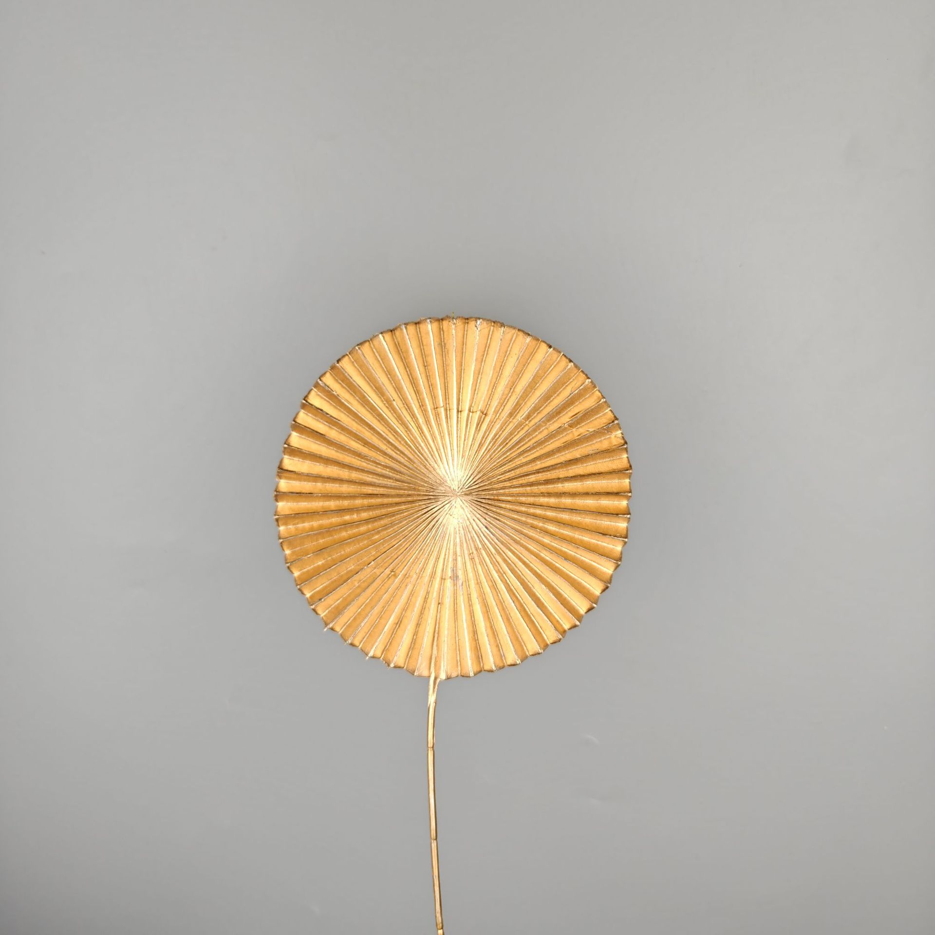 Small round fan