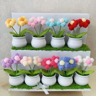 Cross-border puff small pot woven wool flower decoration small decoration desktop office friend girlfriends gift gift