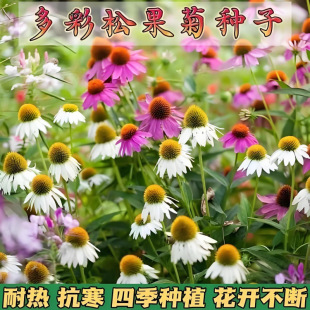 �ɹ��շN���޸��ļ��������ͺ��͟����F�ջ���ͥԺ�̨���ԷN����