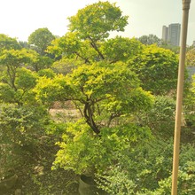 2401���Թ��� �����S���~ 2�׸� �S��÷���� ���^ֲ�� ͥԺ���@