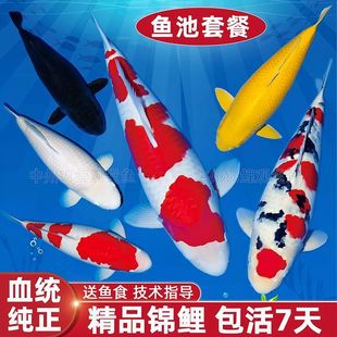 �~���ײ;�Ʒ�\���~���N������ɫ�t�������S������׽�ڽ��^�p�~