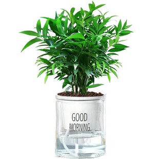 ˮ�������ػ����҃������ļ�����Gֲ�k���Һ��B��ˮ�B����