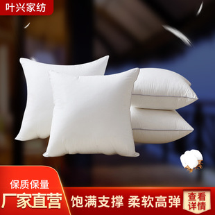 Factory spot wholesale feather velvet pillow core pillow core car cushion waist pillow core cushion core 45 50 55 pillow core