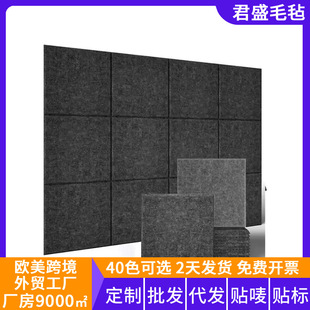 �羳���������ξ����w�S������ ë�ְ� �����屳�z��ճ���N12Ƭ�b