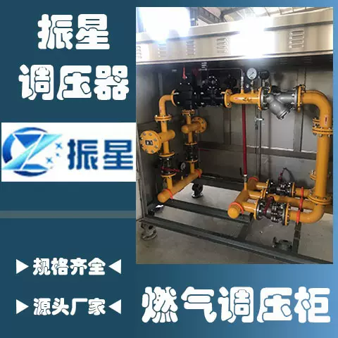 定制RX燃气调压柜调压箱燃气调压计量柜工业天然气设备CNG减压撬