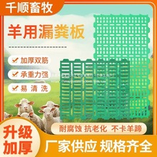 加厚养羊漏粪板漏粪板羊用塑料接粪板羊圈养殖设备养羊舍羊床