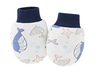 微信截图_20241009145620