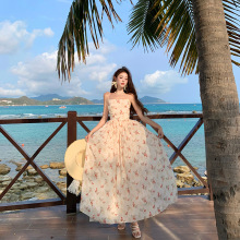 2025¿Ů߼иʽBȹỨ黨BȹŮ