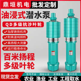 QD多级潜水泵220V抽水泵大流量水泵农用抽水灌溉清水泵