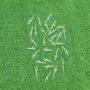 清洁口腔高弹力牙线棒