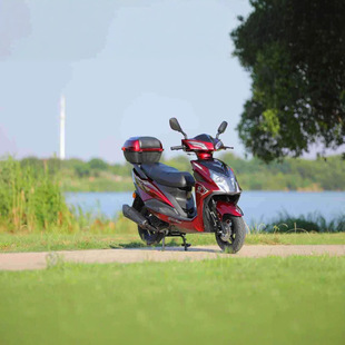 ȫ���aȼ��̤��Ħ��܇�����L�m��ʡ��Ħ�г��˴���ͨ���L����