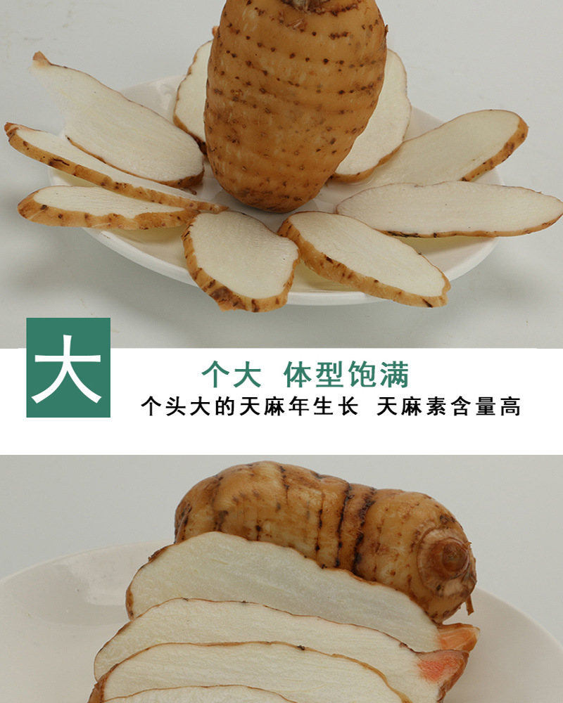 Fresh Gastrodia Root Yunnan Xiaocaoba Tian Ma 500g Wild Grown High Mountain Fresh Dug specifications