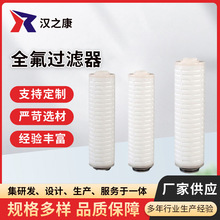 全氟滤芯 筒式纯化电子级半导体全氟滤芯 供应微孔PFA全四氟滤芯