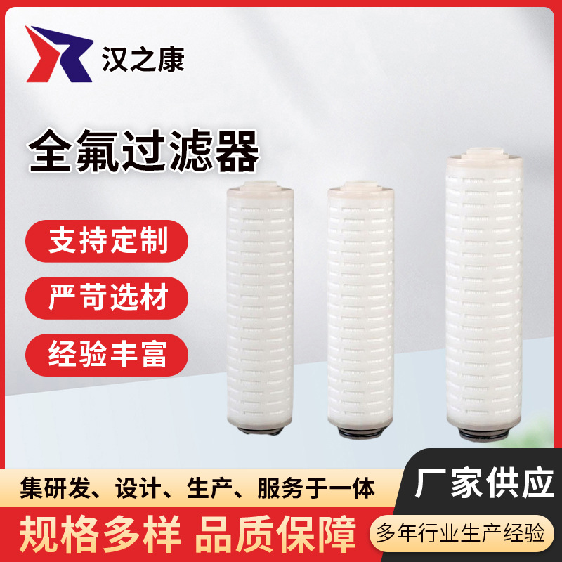 全氟滤芯 筒式纯化电子级半导体全氟滤芯 供应微孔PFA全四氟滤芯
