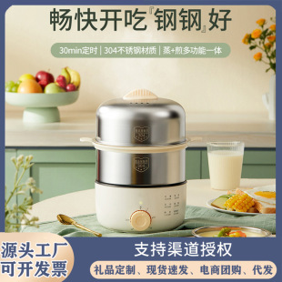 Egg steamer 304 stainless steel household small mini multi-function automatic power-off breakfast machine timing egg cooker
