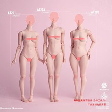 �Ͳ� 1/6����Ů����ؽڿɶ���׼��AT201���Ȱ�AT202ģ�ذ�AT203