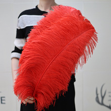 ���l15-75cm�tɫ�r�B��ë��c·�������[���W�t����̨���ݴ���ë