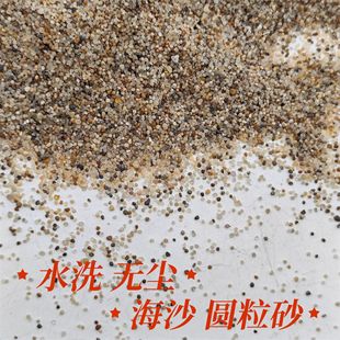 Dust-Free Round Sand Kidsren's Entertainment Washed Sea Sand 30-50 Mesh Artificial Beach Landscaping Playground Sand