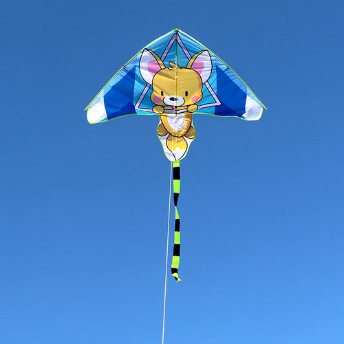 Weifang Hongyun Kite New Wholesale Long Tail Gliding Rainbow Children's Cartoon Piglet Stall Toy Factory Direct Sales