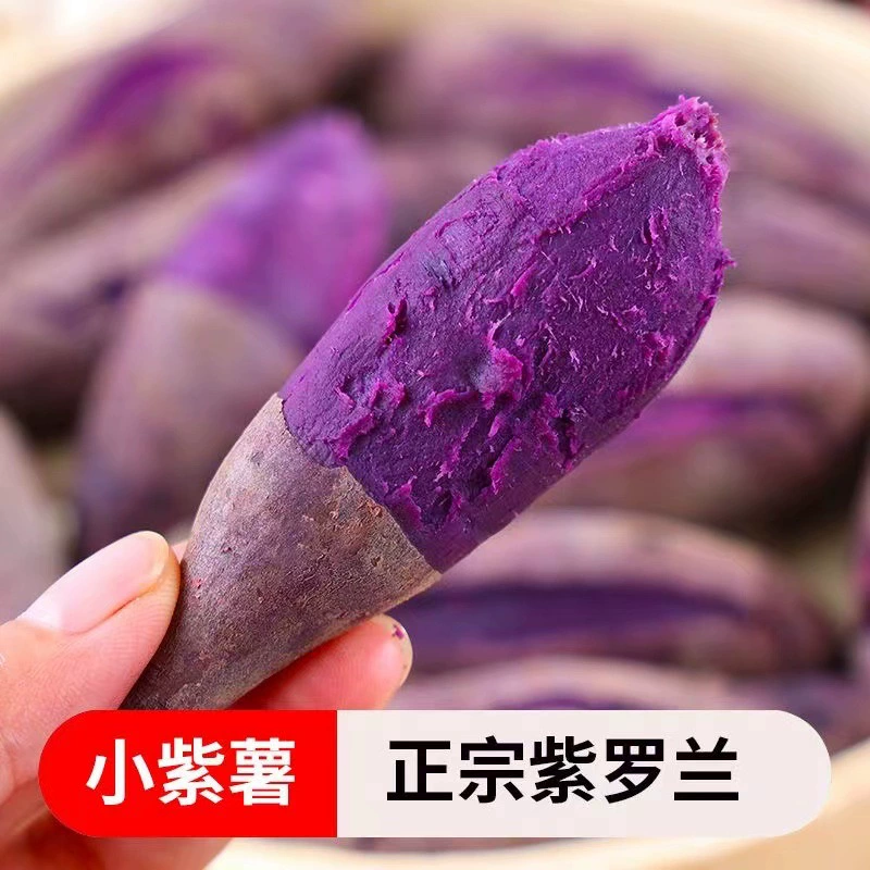 Фиолетовый картофель песчаный 10 кг свежий фиолетовый сладкий картофель фиолетовый сладкий картофель овощи оптом 3/5 кг фиолетовый сладкий картофель