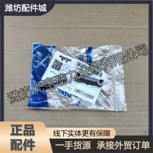 Yangzhou Weichai WP2.3N WP2.5N Dizel Mühərriki Ruili Orijinal Hissələri 1001903097 Klapan Körpüsü