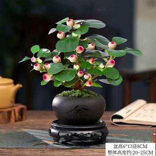 �ļ�������С��������辰�k���҃�ˮ����B�U�⻨��С�Gֲ������