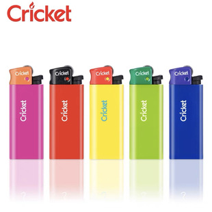 ���Cricket���섓����C����ɰ݆���Cһ���Դ��CED1�����