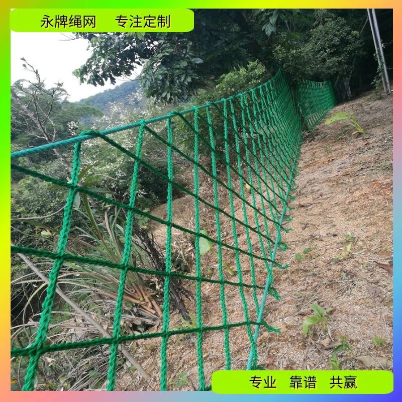 永牌绳网编制护拦网 滨江河堤两岸防护网 高强涤纶聚乙烯pe安全网
