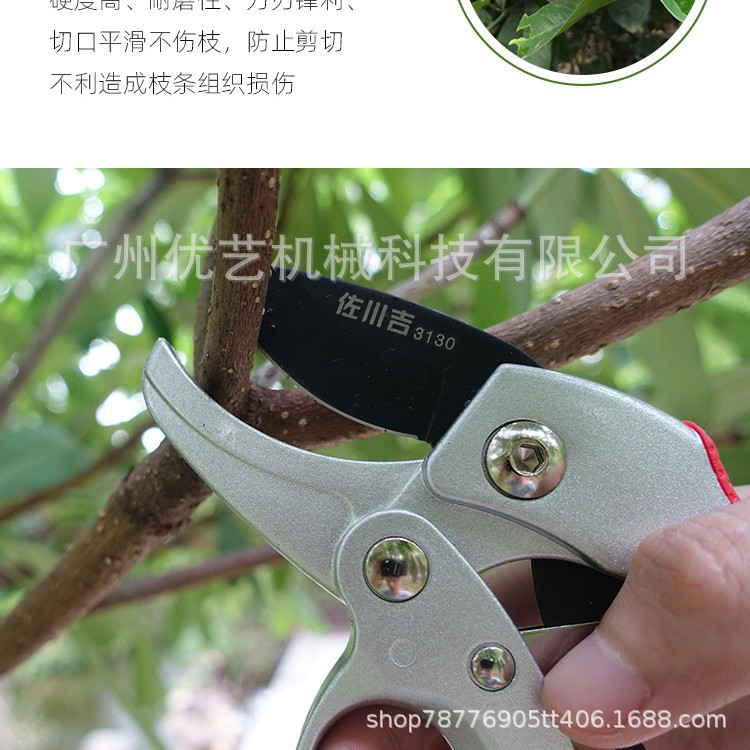 台湾佐川吉3130园艺剪枝剪刀修枝剪园林不锈钢果树花艺剪子工具