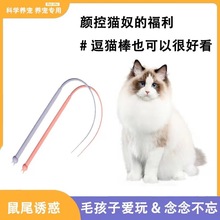 新品硅胶逗猫棒猫猫玩具老鼠尾巴耐咬可替换猫咪互动仿真抓鼠逗猫