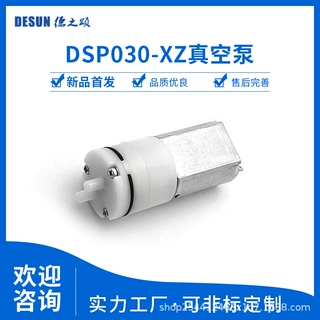 德之颂DSP030-XZ真空泵 真空包装机抽真空设备仪器