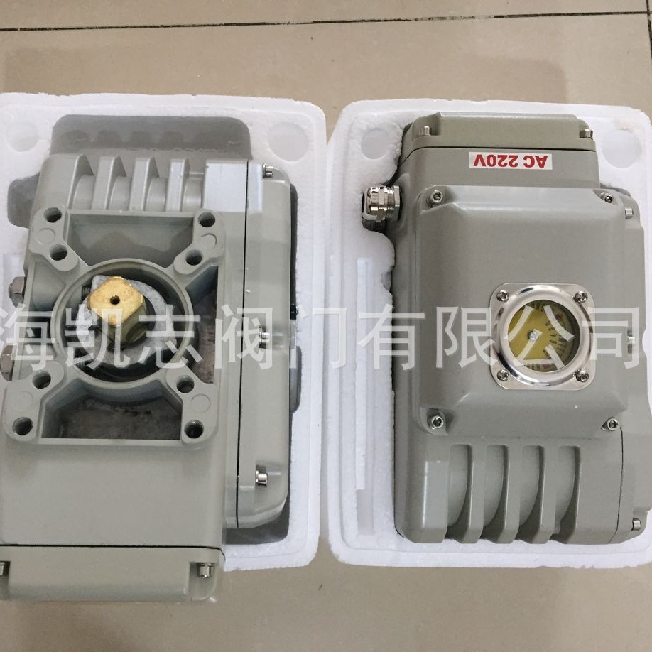 RL-40,RL-50精小型电动执行器RL-60 输出力矩600NM DN80电动球阀