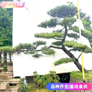 ���l���ͺ���10������30���־G����ƷͥԺ��Ҏ���Rȫ���ϻ���ֱ�N