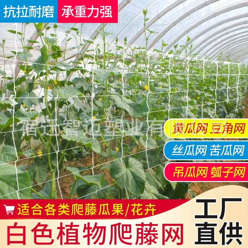 Сетка для вьющихся растений, квадратная решетчатая сетка для сельскохозяйственного садоводства, рамка для лазания, сетка для лазания, рамка для лазания.