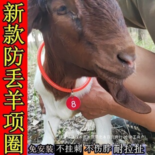 �������Ȧ�Ԅӿ۷������������Bֳ��Ʒ���ò��h���Ȧ��Ȧ����