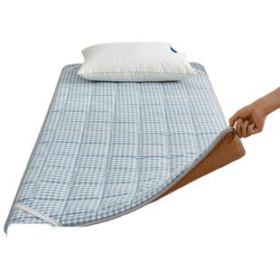 Elementary School Students Summer Nap Mat Mattress Dormitory Single Small Size Baby Nap Sleeping Pad Mattress Mattress Mattress Mattress