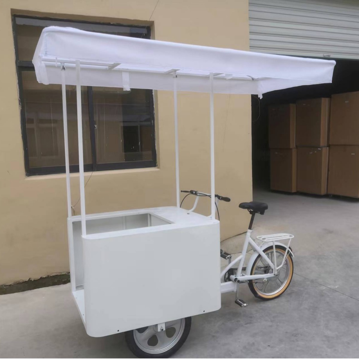 DC 12V24V hotselling ice cream tricycle in african market108