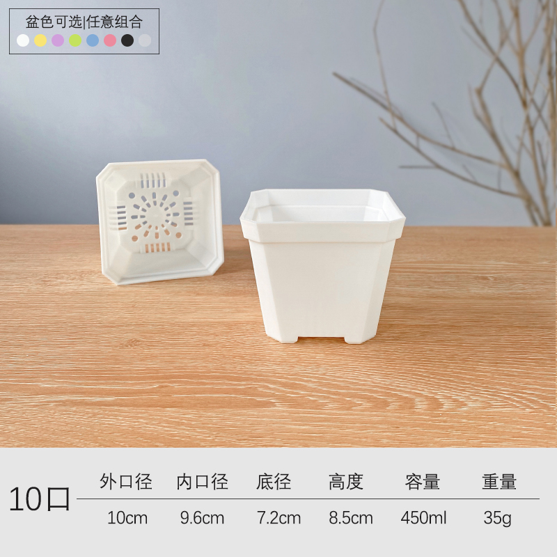 플라스틱 - 흰색 두꺼운 10구 세면대 20개(받침 없음) - 친환경 플라스틱