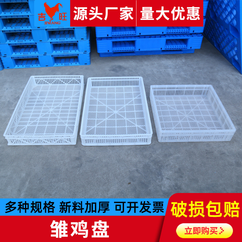 吉旺厂家全新塑料雏鸡盘 雏鸡育苗箱白色多规格浅筐孵化盘育雏筐