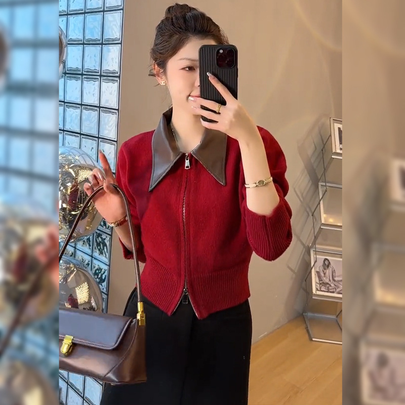 韩系穿搭时尚套装裙秋季显瘦气质减龄拉链针织毛衣半身裙子两件套|undefined