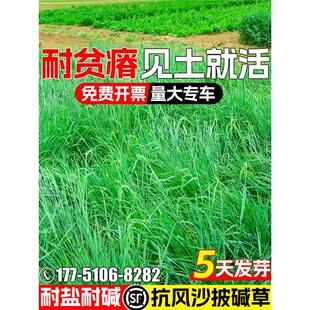 ���|�ݲ����o�¹������Lɳ��ؚ����}���|��â����ݱ����|é�N��