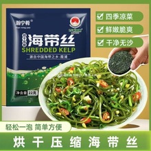【12，9发10袋】22g/袋霞浦压缩海带丝鲜嫩爽口干净无沙火锅凉拌